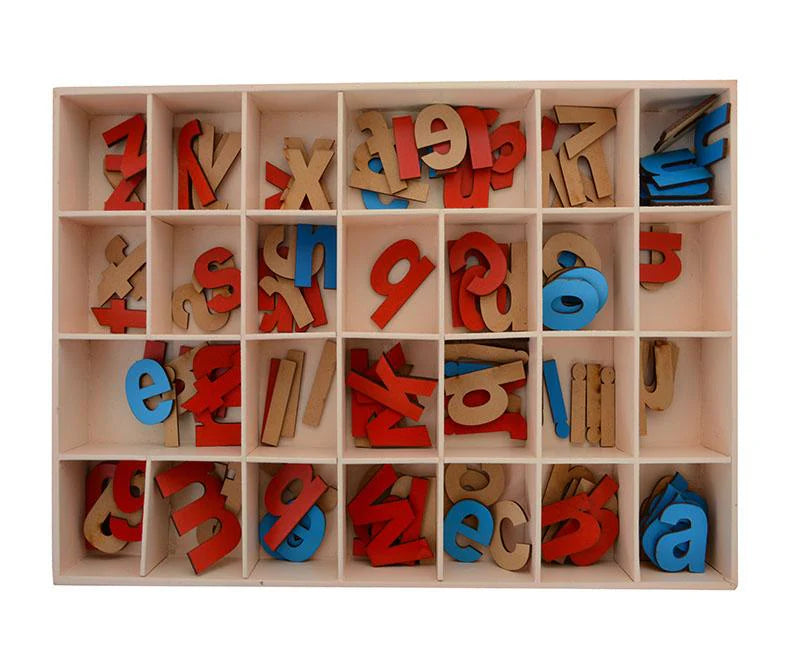 Moveable Lowercase Alphabet Letters | Montessori Wooden ABC Learning Toy for Kids