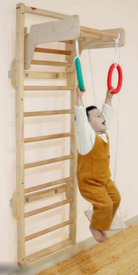 Jungle Gym for Kids Indoor |Playset with Wooden Ladder, Gym Rings, Monkey Bars & Swing |Develops Motor Skills|Jungle Gym for Kids & Babies