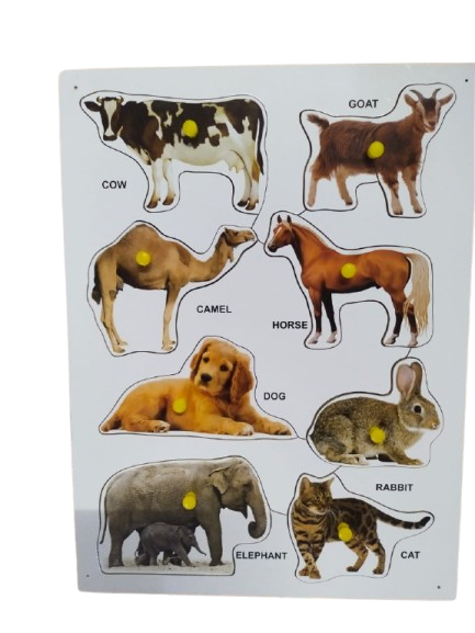 Learning Tray with Knobs