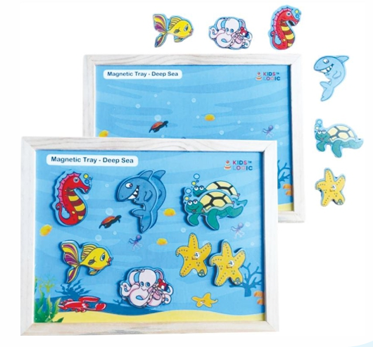Magnetic Twin Play Tray